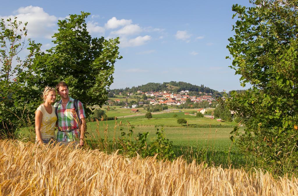 Hotel Zum Schwarzen Baeren Vohenstrauss Zewnętrze zdjęcie