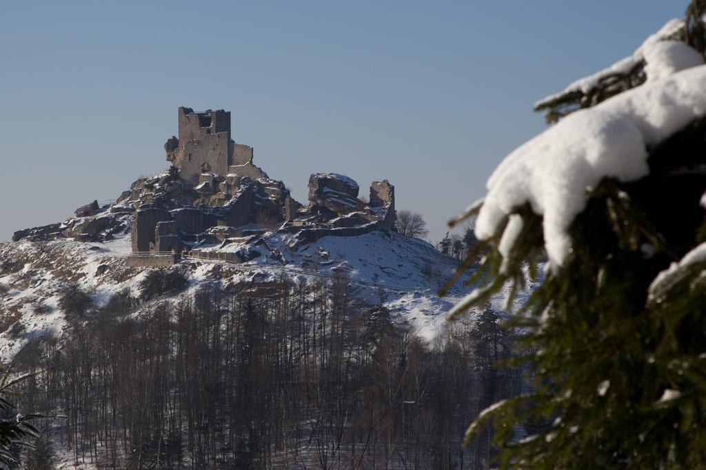 Hotel Zum Schwarzen Baeren Vohenstrauss Zewnętrze zdjęcie