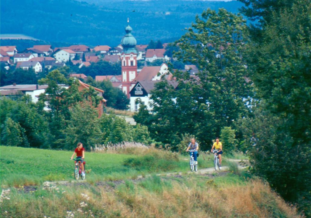 Hotel Zum Schwarzen Baeren Vohenstrauss Zewnętrze zdjęcie